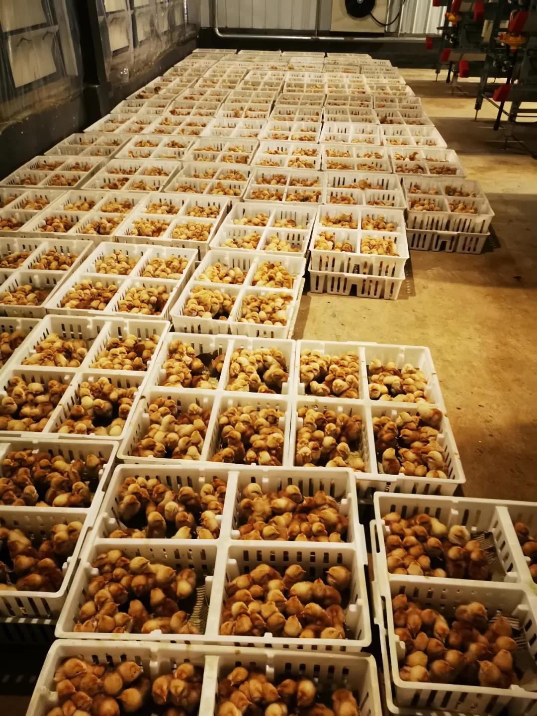 微信圖片_20201014081337.jpg 微信圖片_20201014081337.jpg