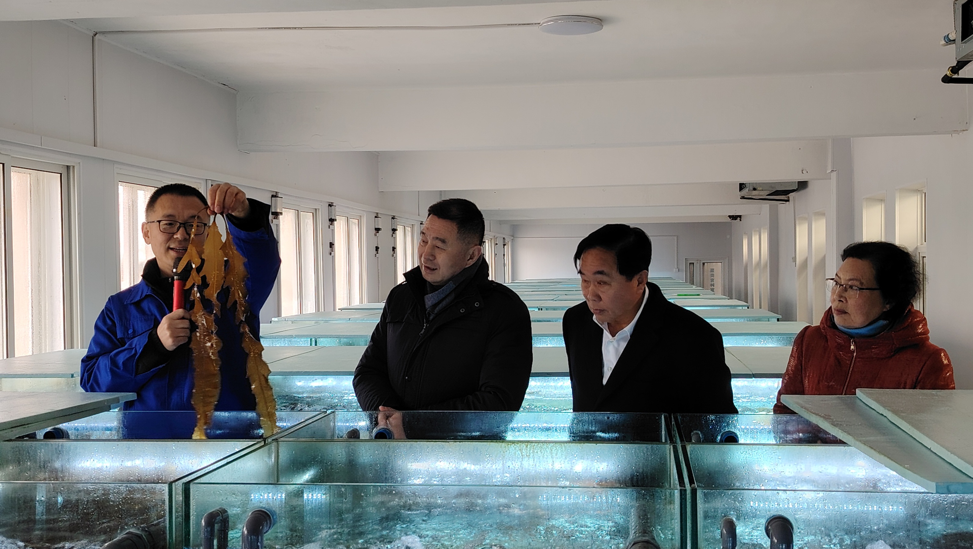 大連市副市長周振雷蒞臨韓偉集團(tuán)考察調(diào)研